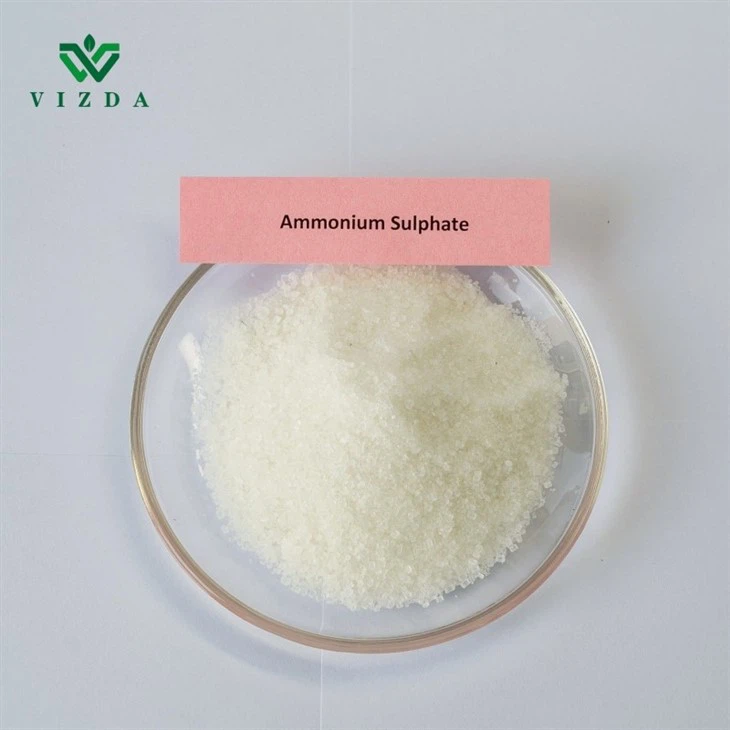 Ammonium Sulfate Crystal