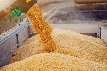 Brazil To Become The World's Largest Exporter Of Corn