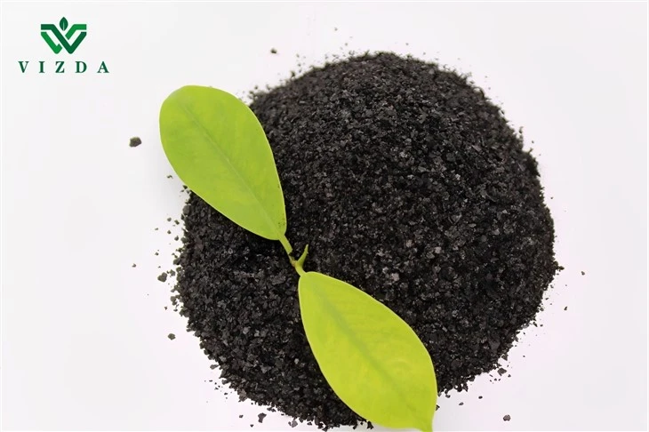 Seaweed Extract For Flower