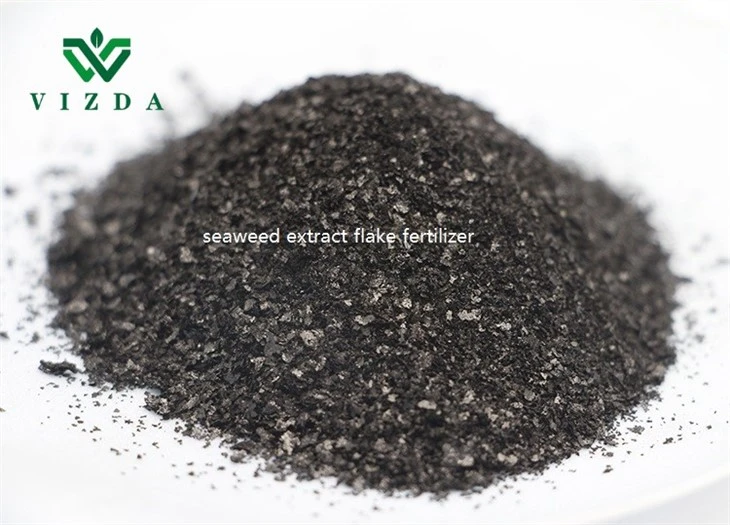 Seaweed Extract For Flower