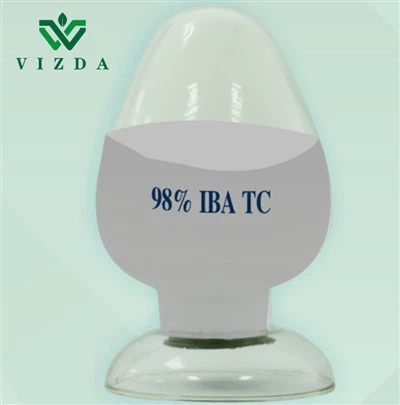 IBA 4-indol-3-ylbutyric Acid