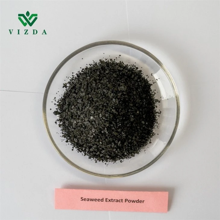 Soluble Seaweed Extract
