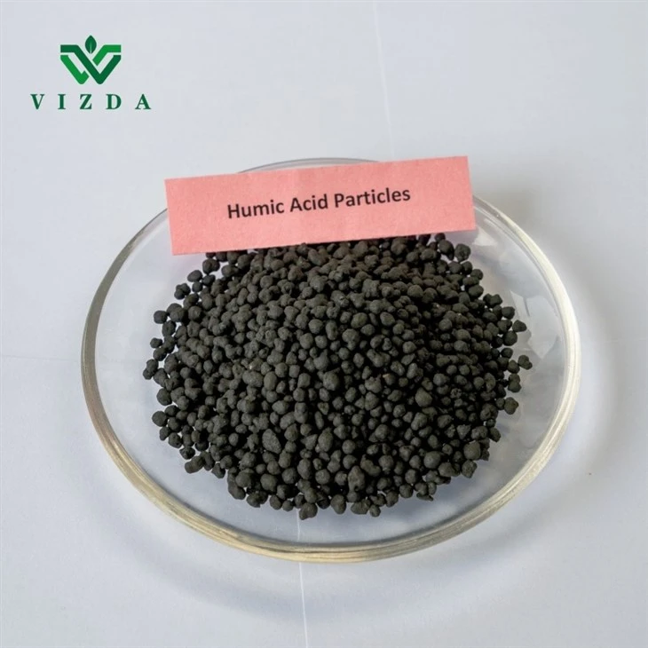 Sustainable Agriculture Humic Acid
