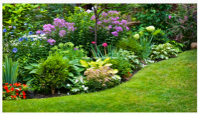 mall gardens, big impact: how pollinator-friendly yards support wildlife