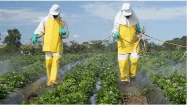 Crystal Crop Protection Acquires Key Herbicide Asset From Bayer