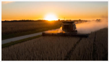 Incurable Crop Diseases Threaten Missouri’s $5 Billion Corn And Soybean Industry