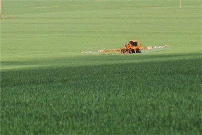 Nitrogen Market Braces For CBAM After Document Leak