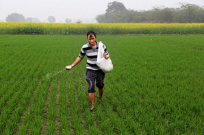 Indonesia Will Supply 250,000 Tonnes Of Urea To Australia To Mitigate Global ...