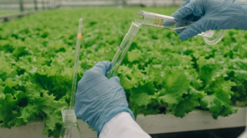 Fertilizer Industry Shifts Toward Integrated Agronomic Systems, Away From Sta...