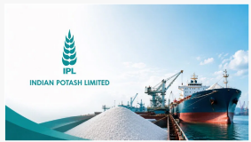 India’s IPL Seeks Lower DAP Prices in 1.2 Million-ton Import Tender