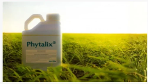 Ascribe Bio And Corteva Target Seed-treatment Biologicals With Phytalix Colla...