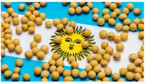 Argentina Cuts Export Taxes On Grains And Outlines Further Reductions Through...