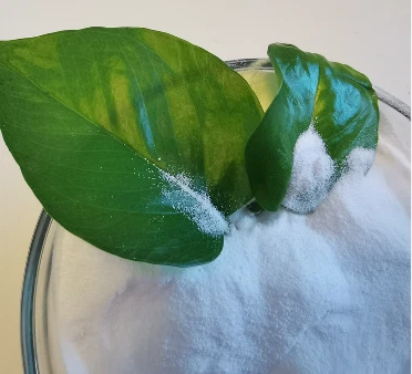 Nitrate Of Potash ( Potassium Nitrate)