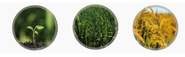 product-642-200