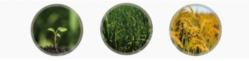 product-505-124
