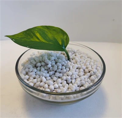 Ammonium Sulphate Granular